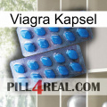 Viagra Capsule viagra2